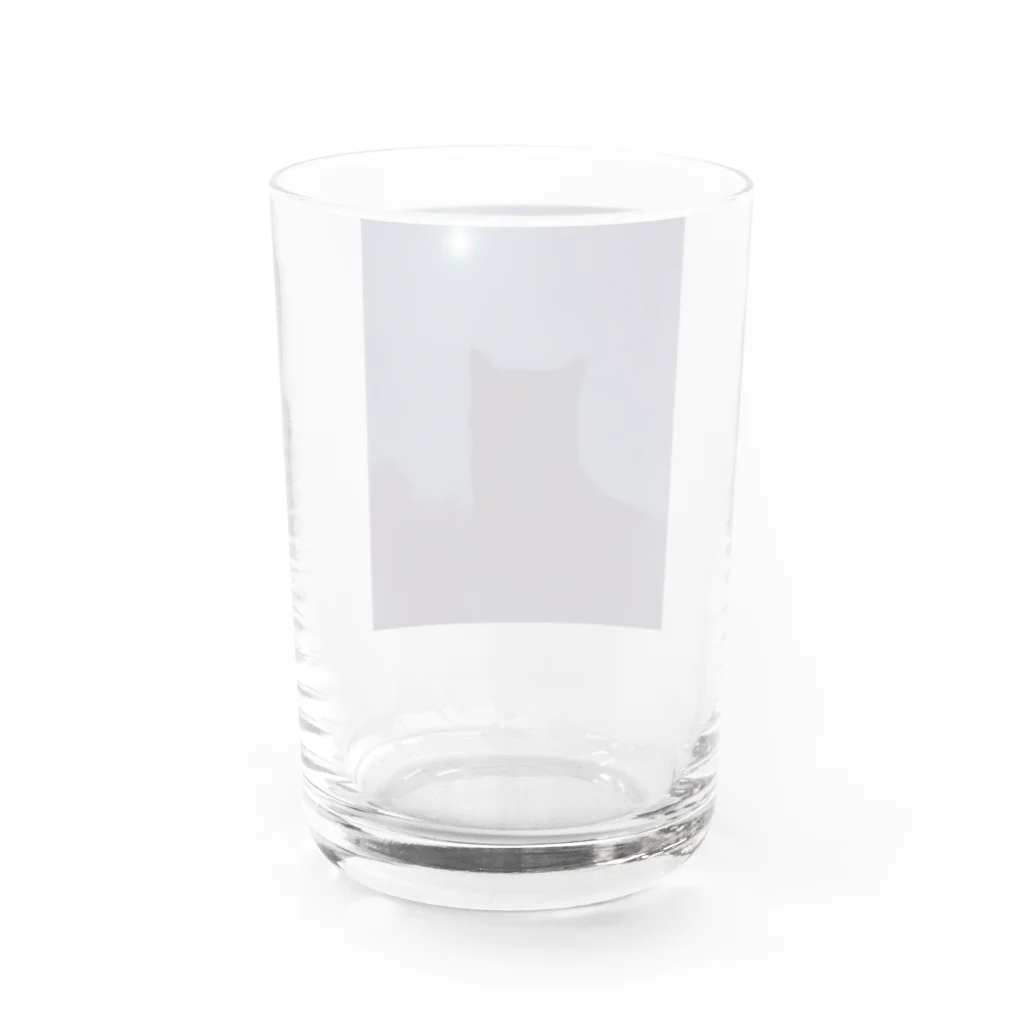 znd__の猫と月。 Water Glass :back