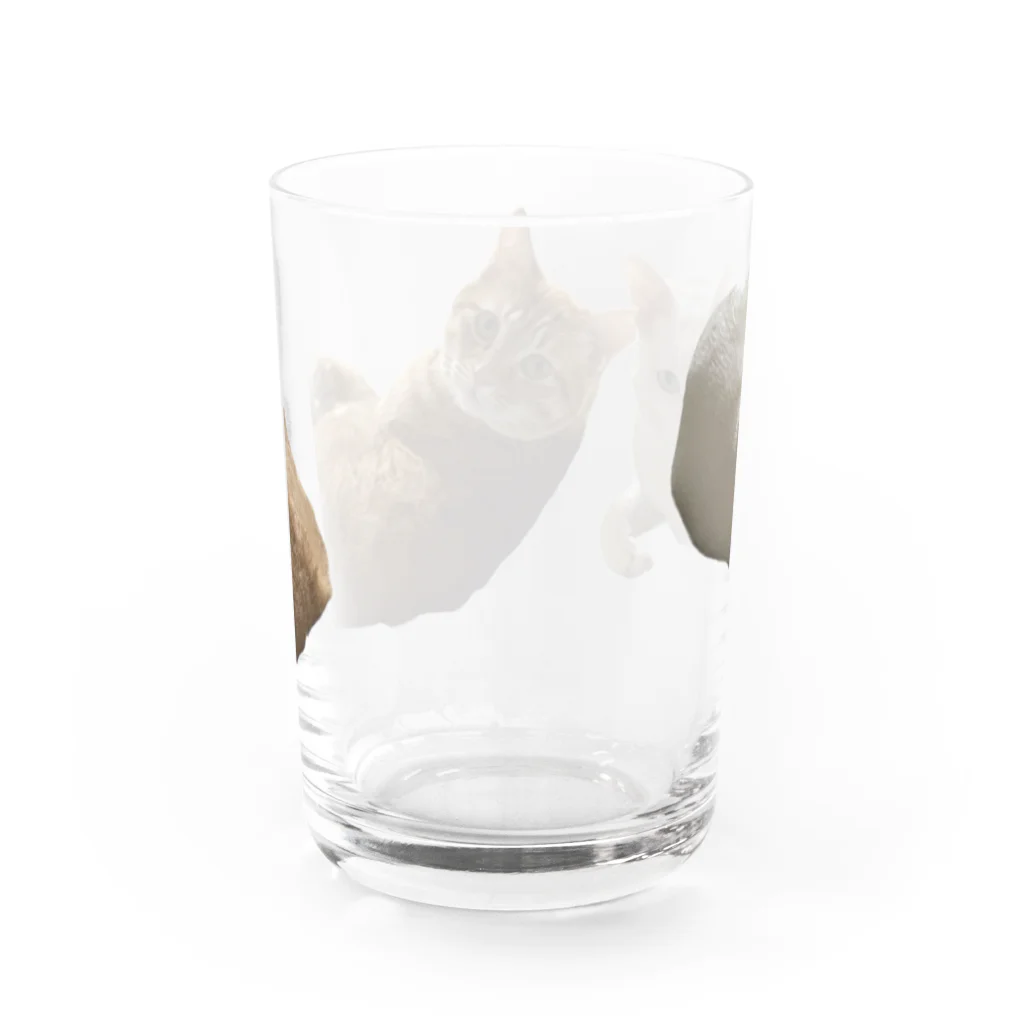 POPPE.comのなんですか顔のぽっぺ Water Glass :back