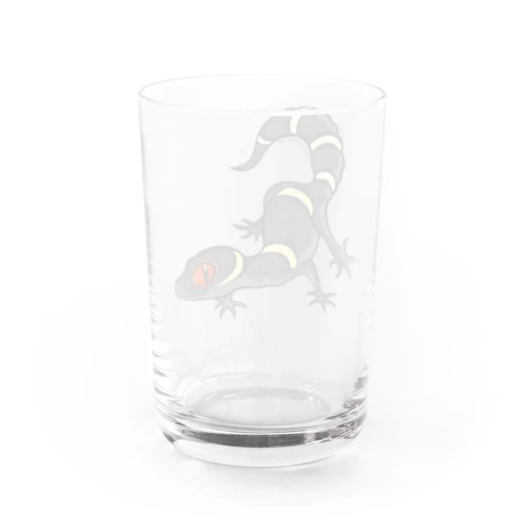 もむのふの爬虫類グッズやさんのハイナントカゲモドキちゃん Water Glass :back