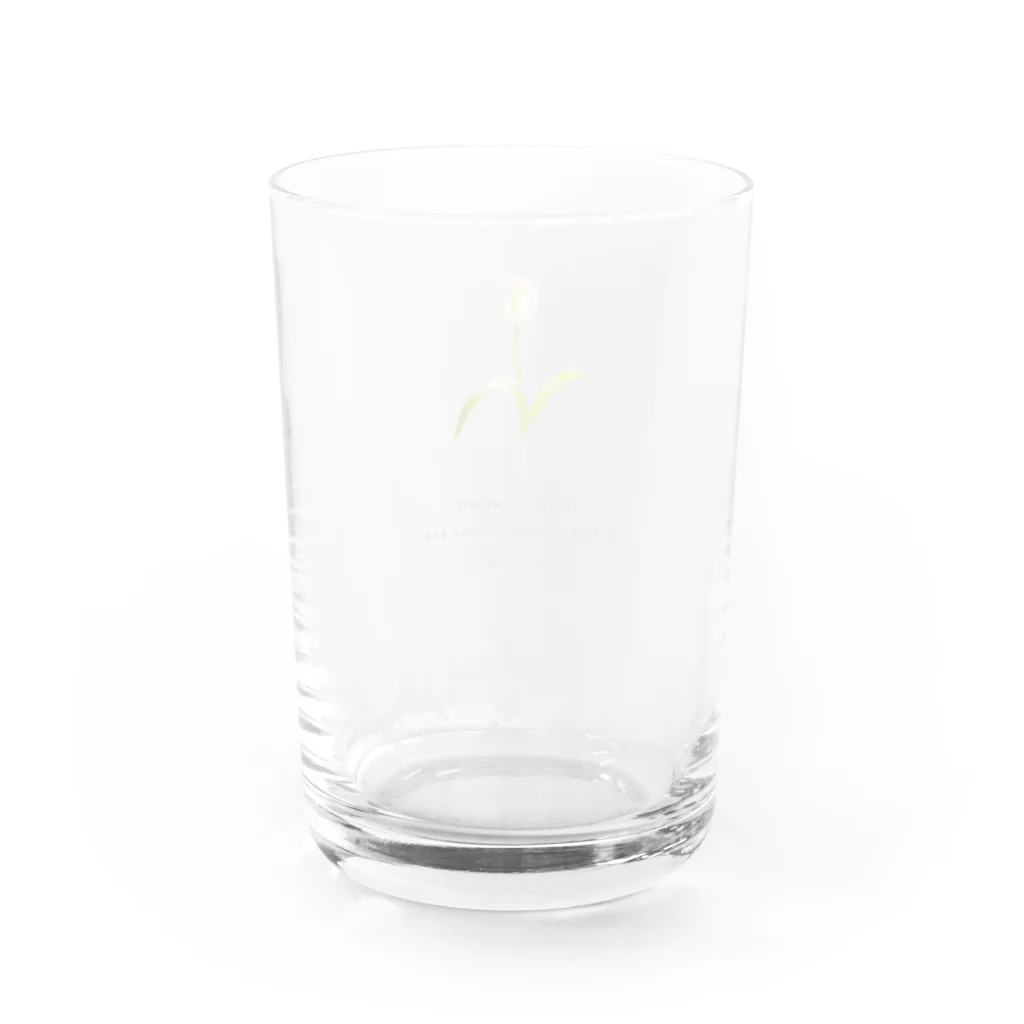 rilybiiの虹色チューリップ Water Glass :back