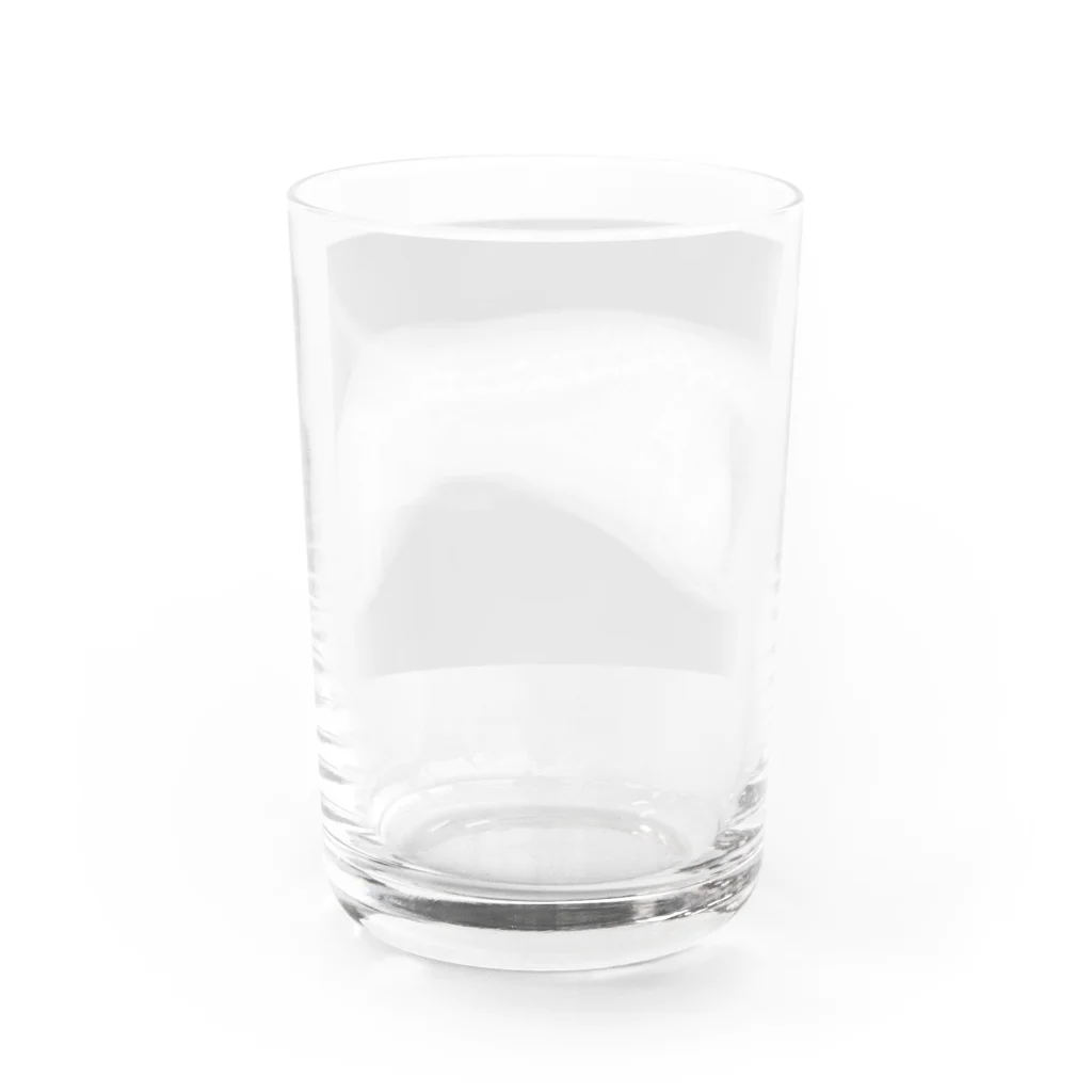 nireのいぬのレントゲン Water Glass :back