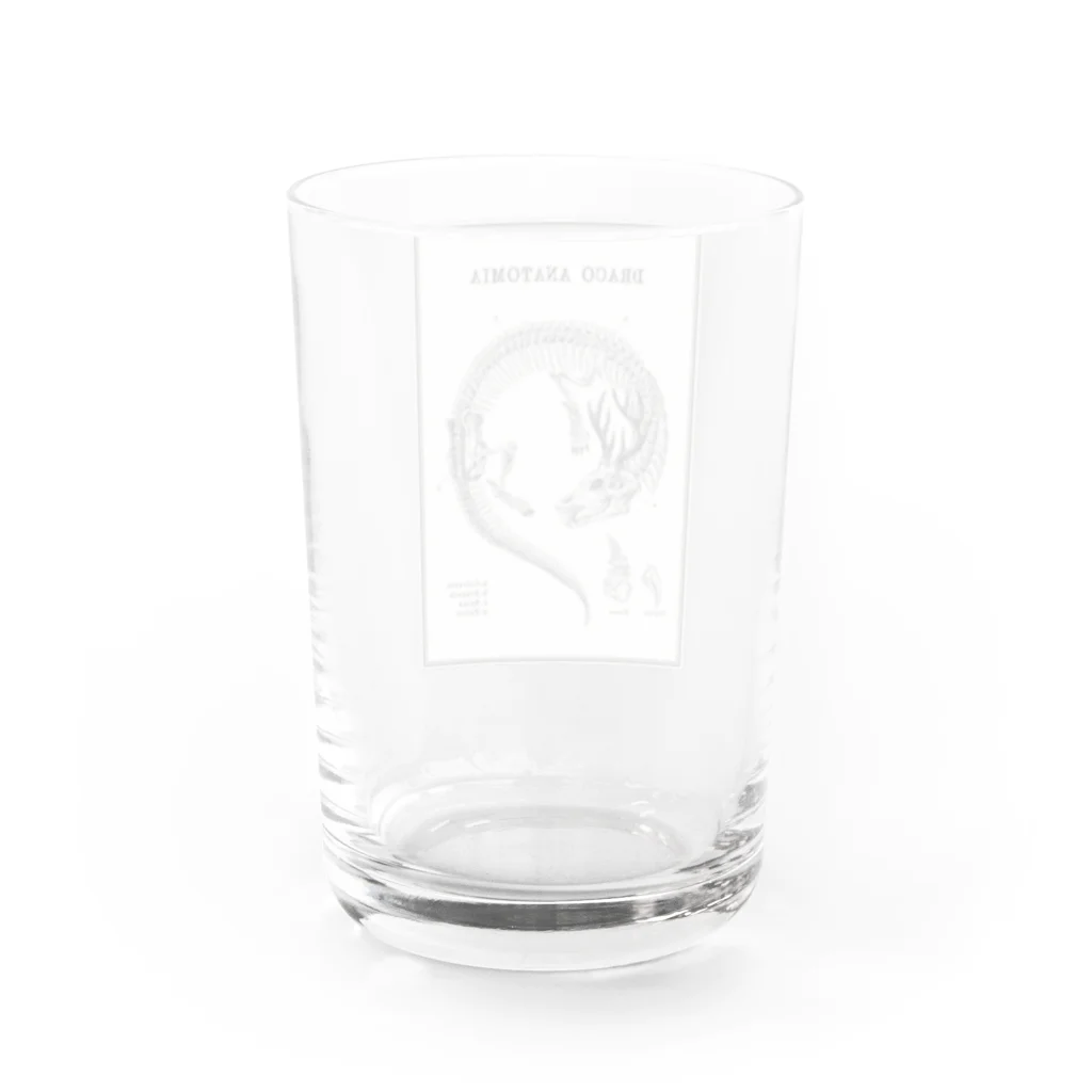 THOUGHT -STORE in Suzuri-のDRACO ANATOMIA Water Glass :back