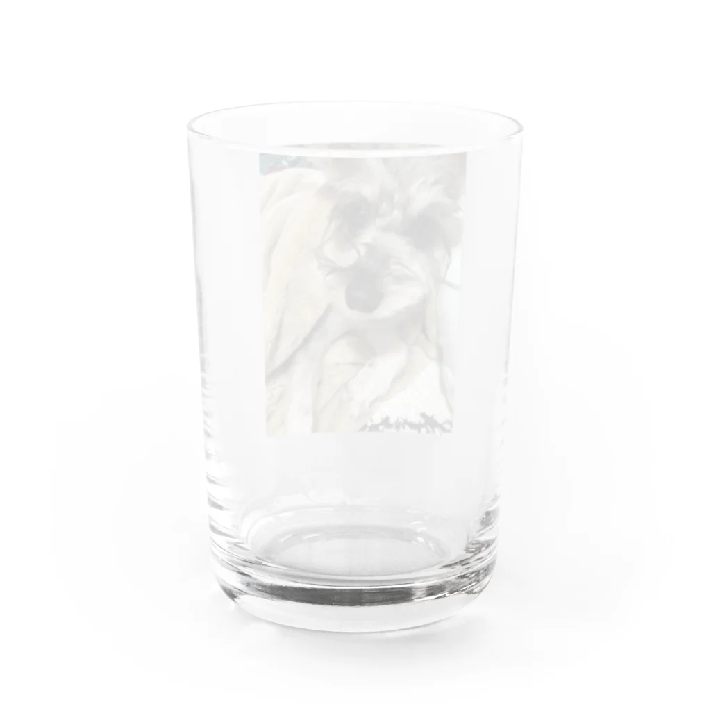 Doji_Maruのお昼寝といぷーりぼ Water Glass :back