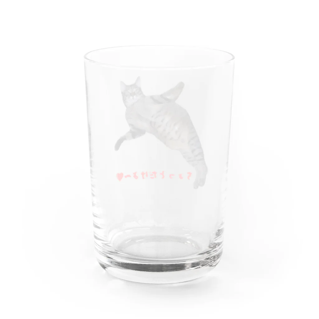 HANAKAKAのちょっとだけよ～❤ハナちゃん Water Glass :back