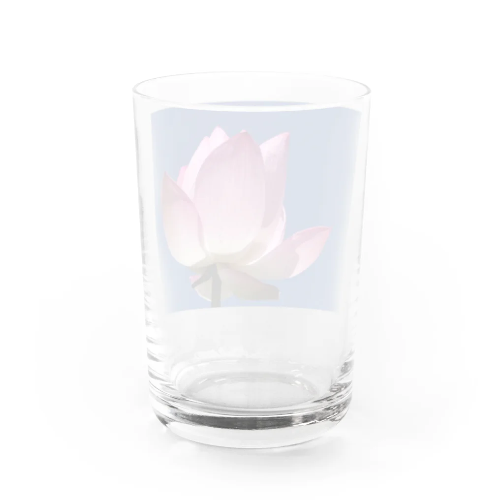 華の青空に蓮 Water Glass :back