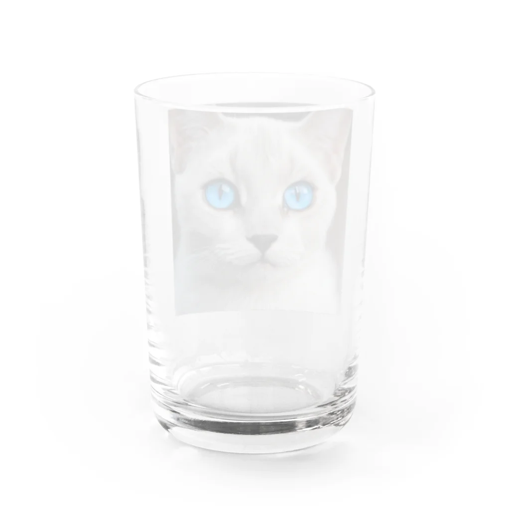 ソラトラの青目の猫 Water Glass :back