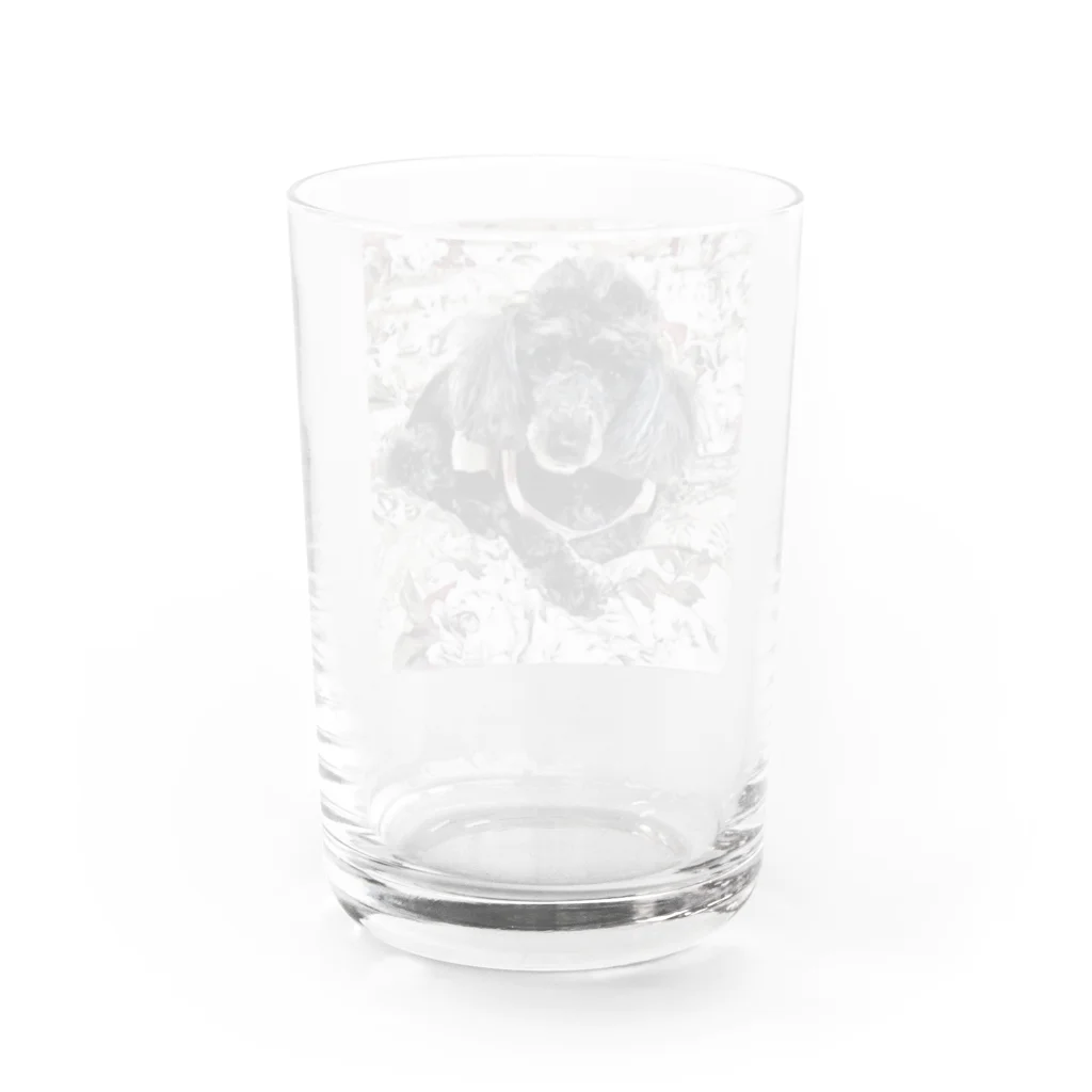 黒トイプーのハナの黒トイプーハナのグッズ Water Glass :back