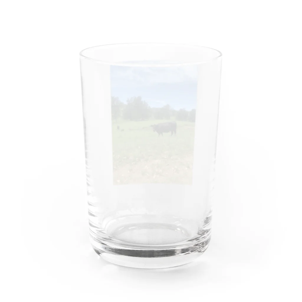 YASUE ABE JPのFarm Water Glass :back