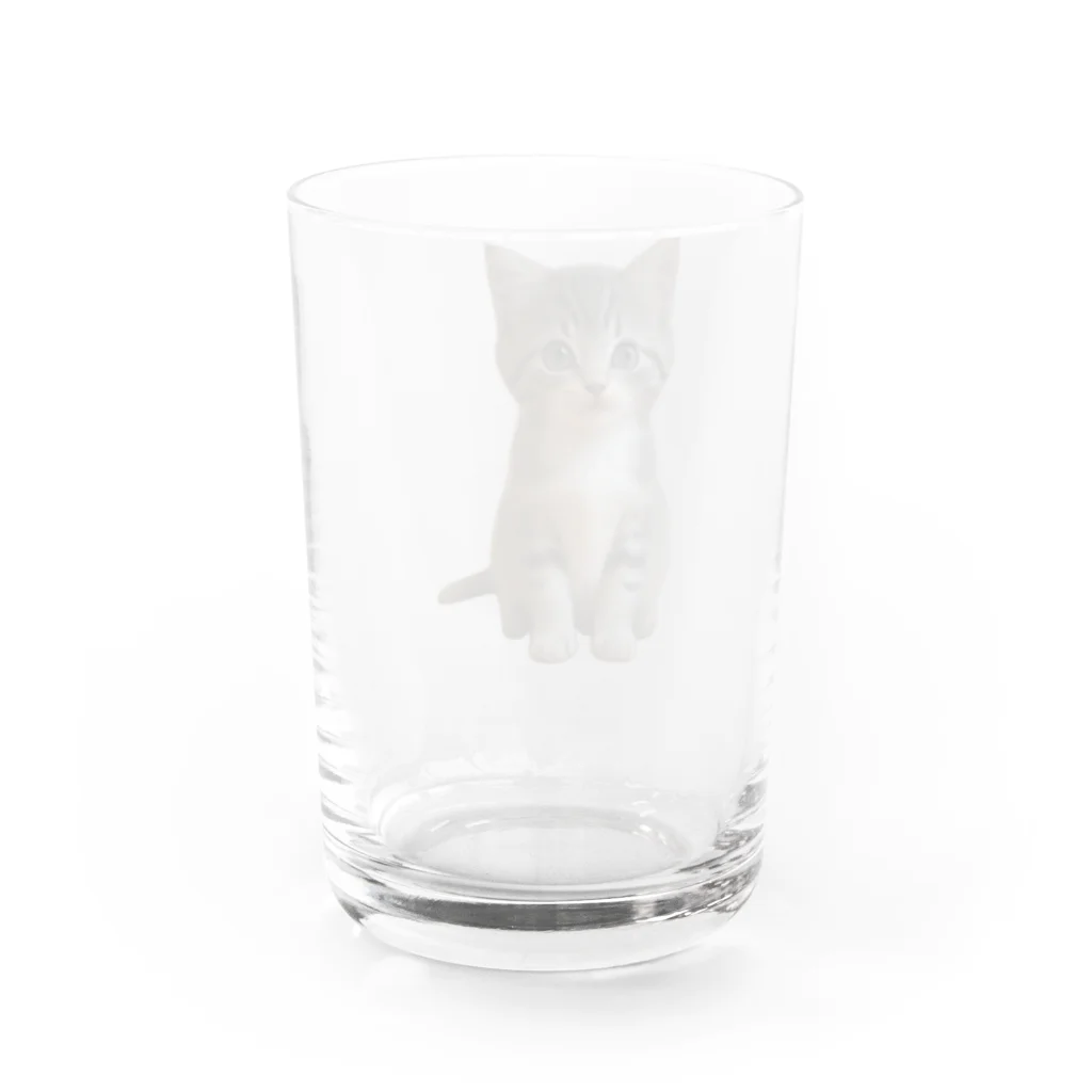 ちびえりshopの見つめる仔猫 Water Glass :back