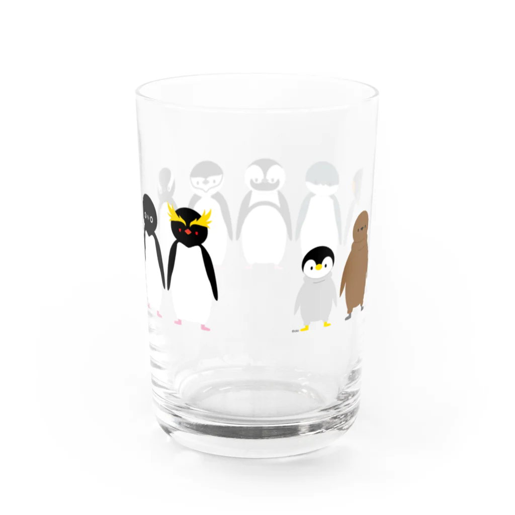 しろくま&ペンギン通信のペンギンたち、整列！ Water Glass :back