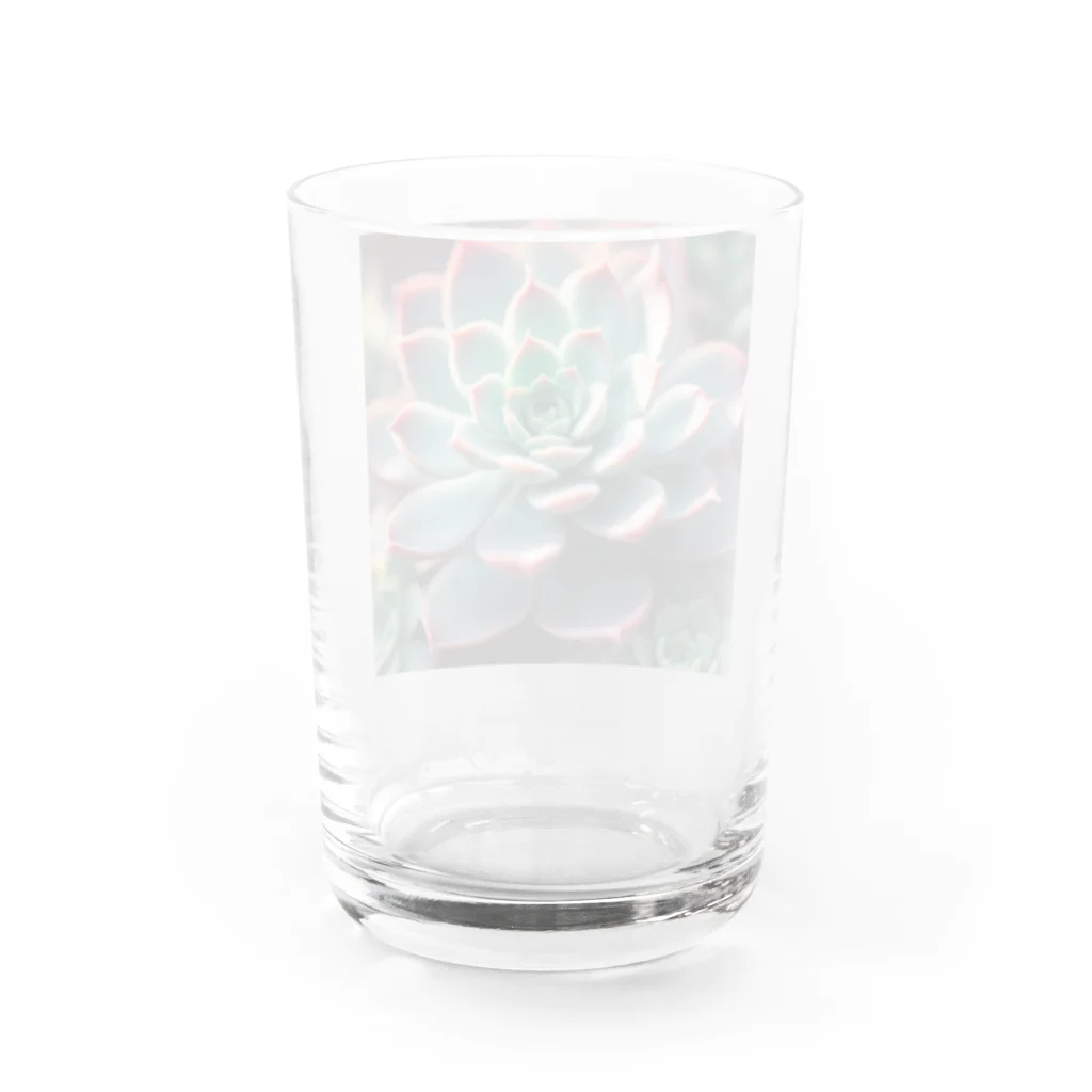 maroramu04のエケベリア１ Water Glass :back