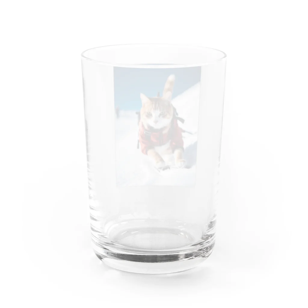 GoldCatの雪猫 Water Glass :back