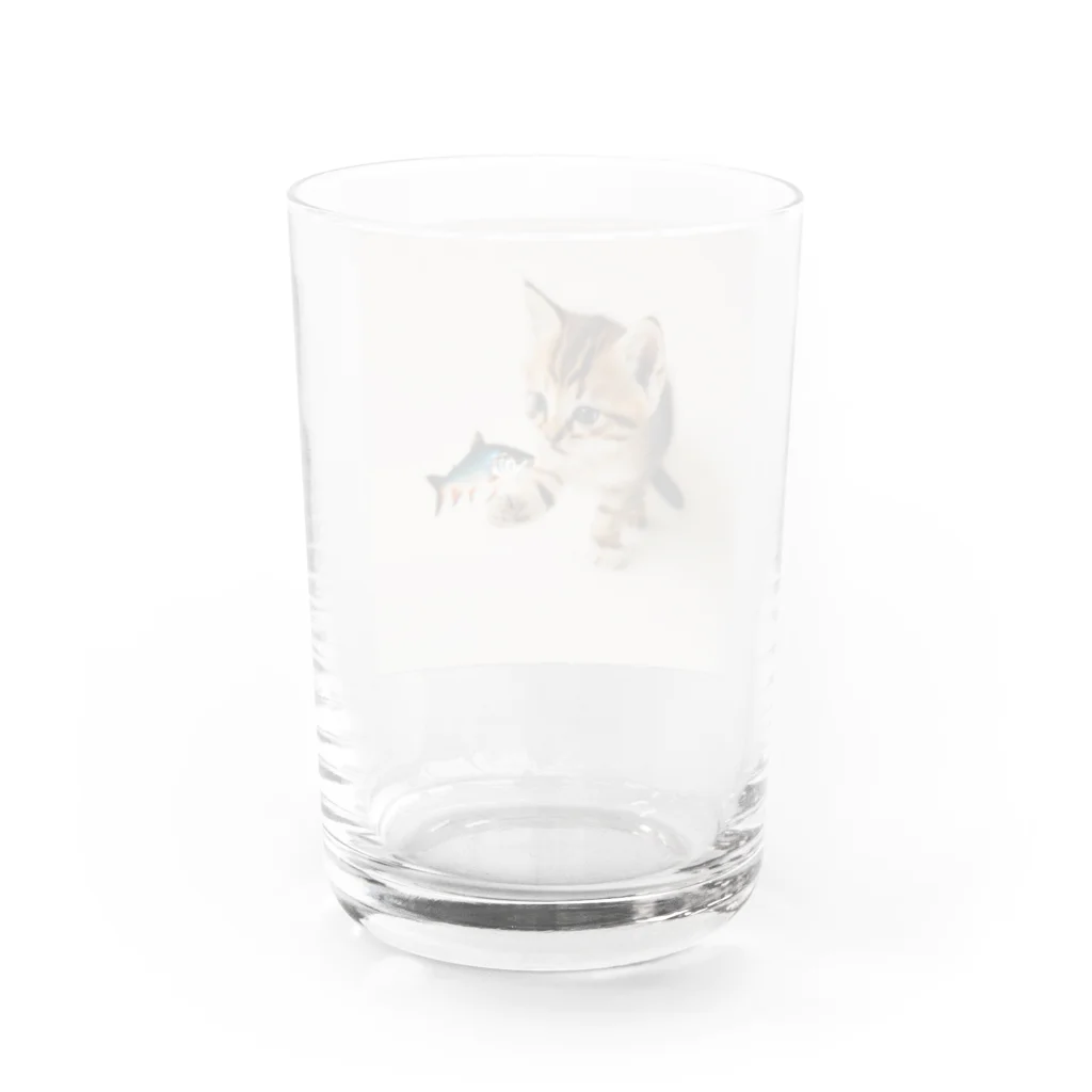 ai美女ショップの子猫のくーちゃん🐈 グラス反対面