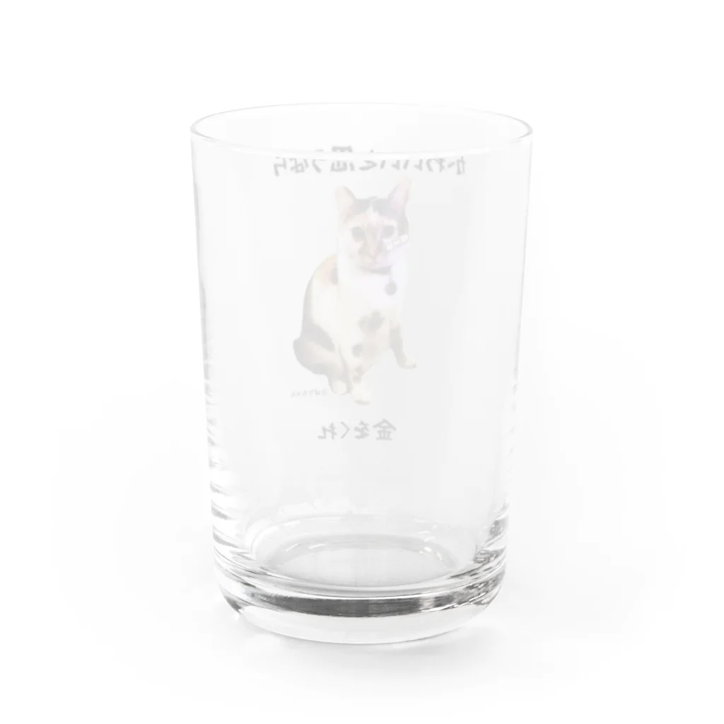 torahiva89のミケ猫ひばり Water Glass :back