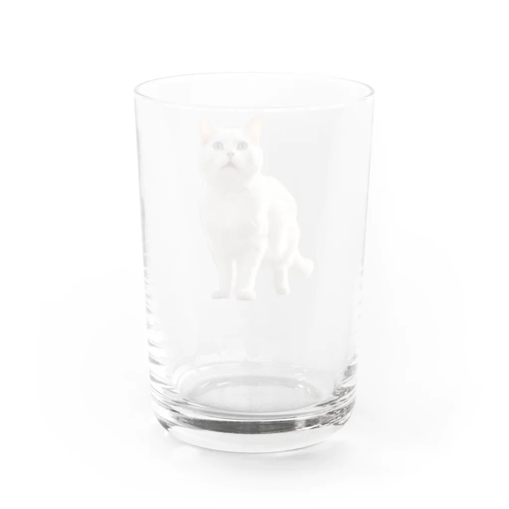 kiryu-mai創造設計の白猫ちゃん Water Glass :back