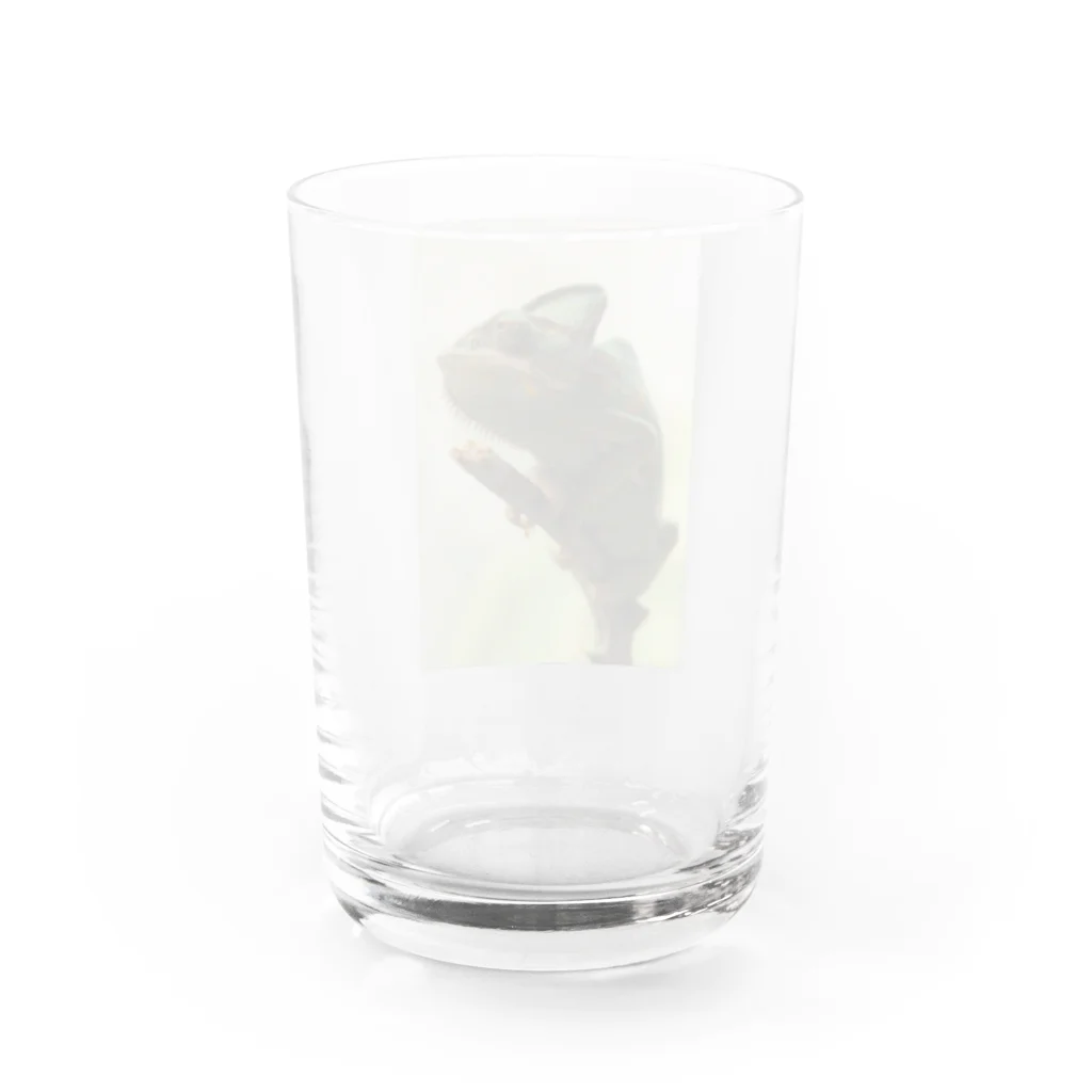 可愛い動物のカメレオン Water Glass :back