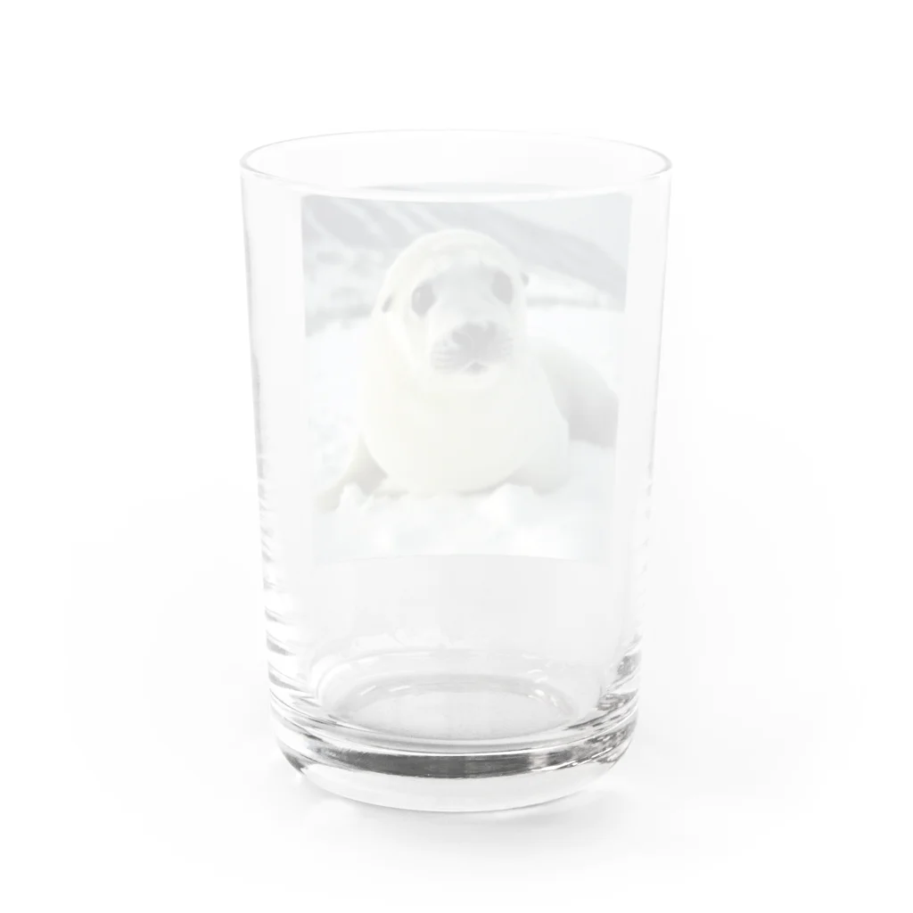 monkeyGの雪見大福みたいなアザラシ Water Glass :back