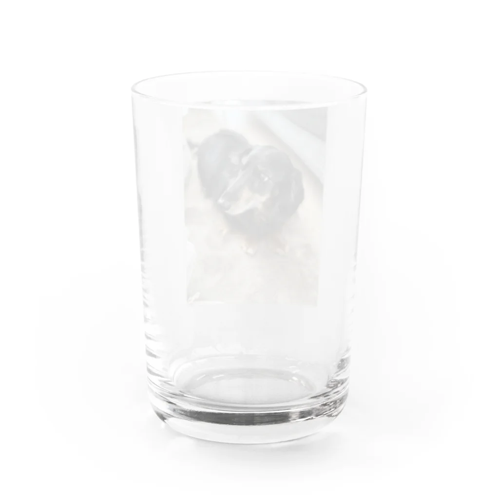 Kawaii-Animaru-Storeの犬 Water Glass :back