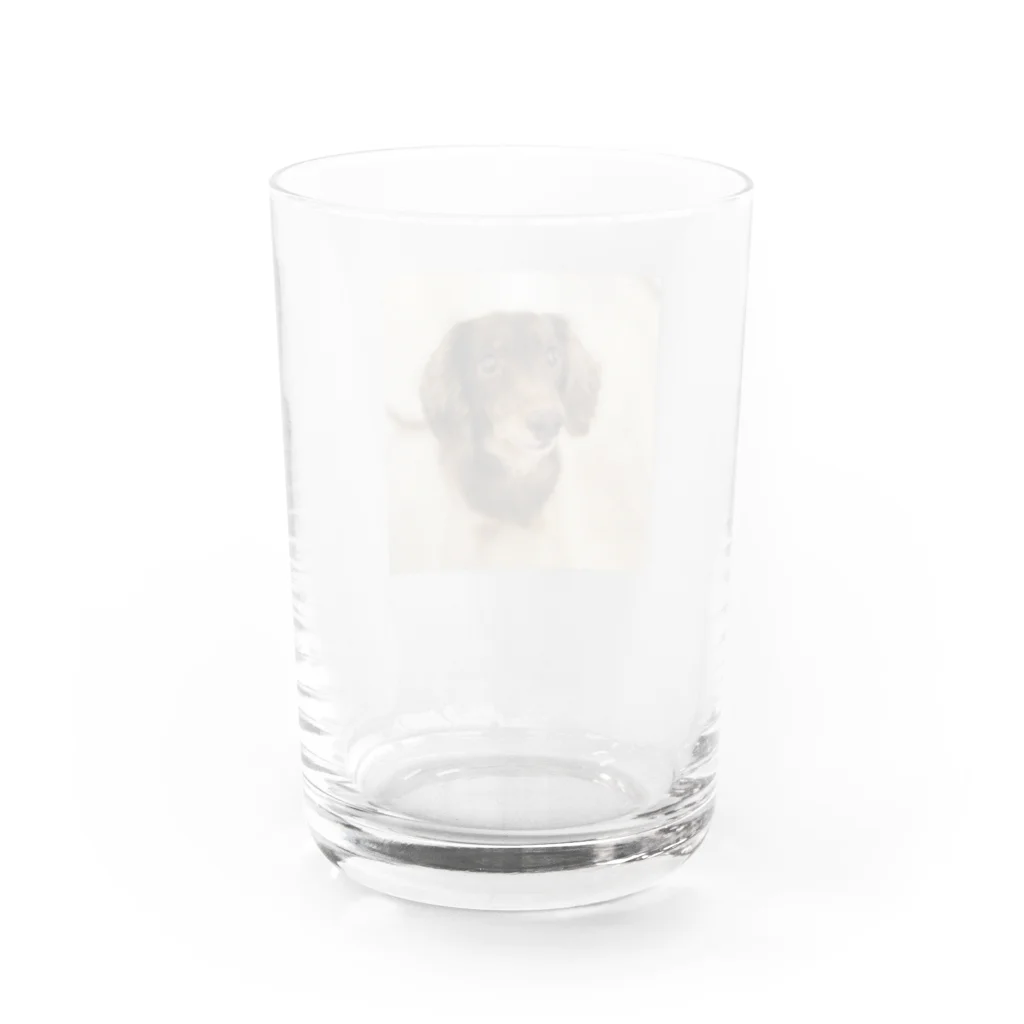 マリアの愛犬マリア Water Glass :back