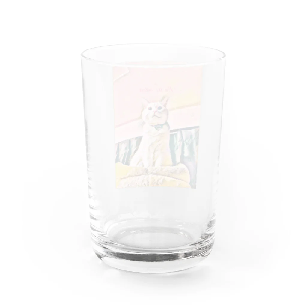 kopakiaraのこぱグッズ Water Glass :back