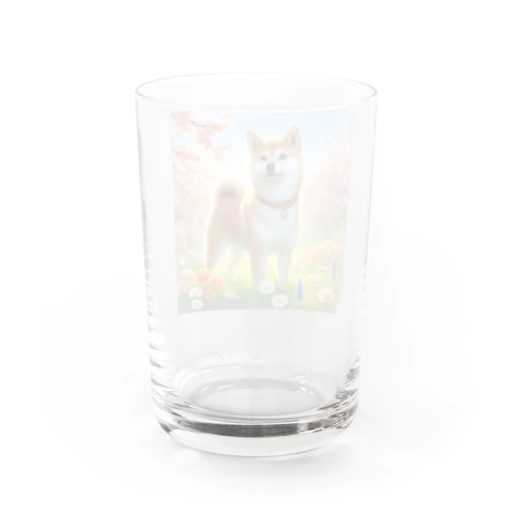 ANTARESの春の柴犬の冒険 Water Glass :back