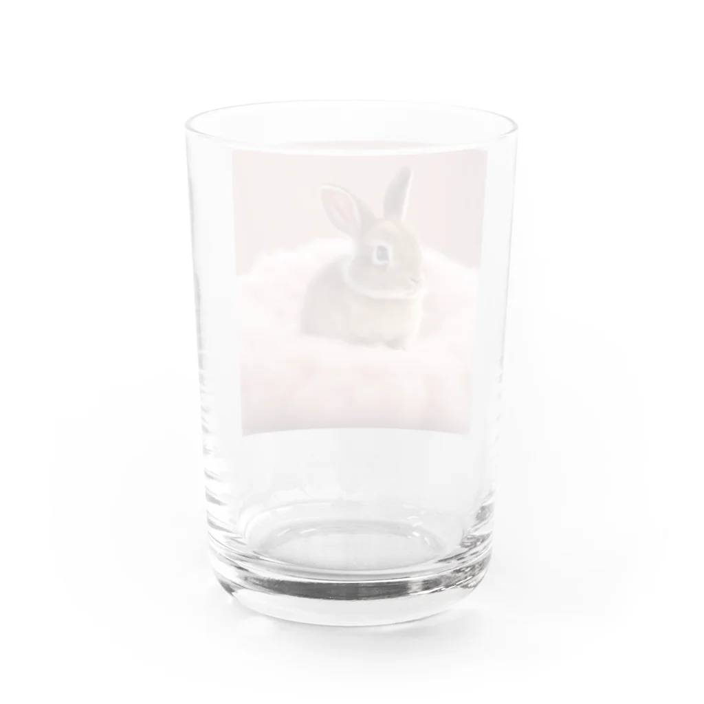 キャリーのふわふわのクッションで遊ぶウサギの赤ちゃん Water Glass :back