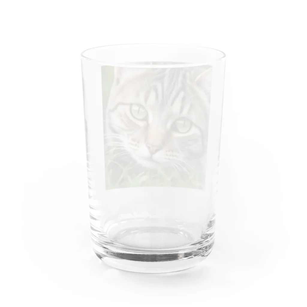 kkbaseballの草村の猫 グラス反対面