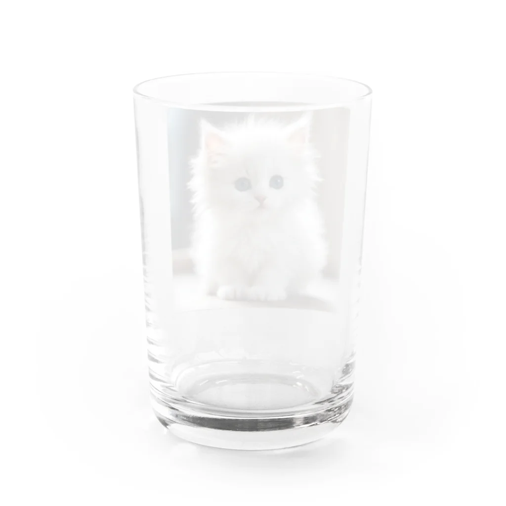SkyBlueのキュートな子猫 Water Glass :back