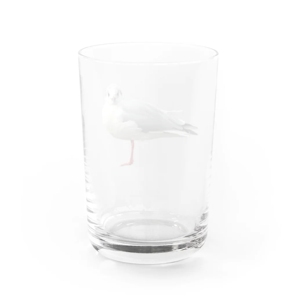 山の門のかもめ　正面 Water Glass :back