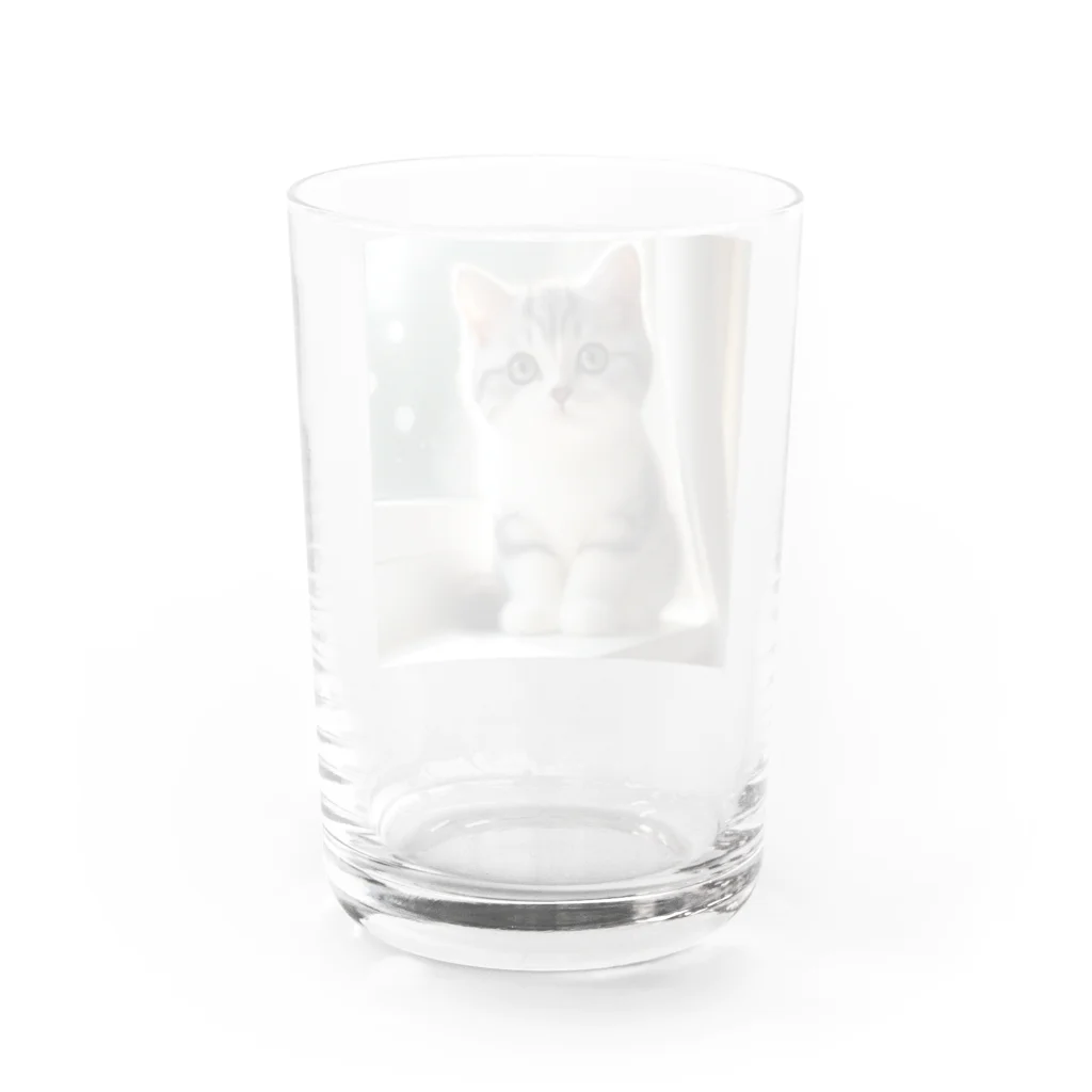 nico711のアメショちゃん Water Glass :back