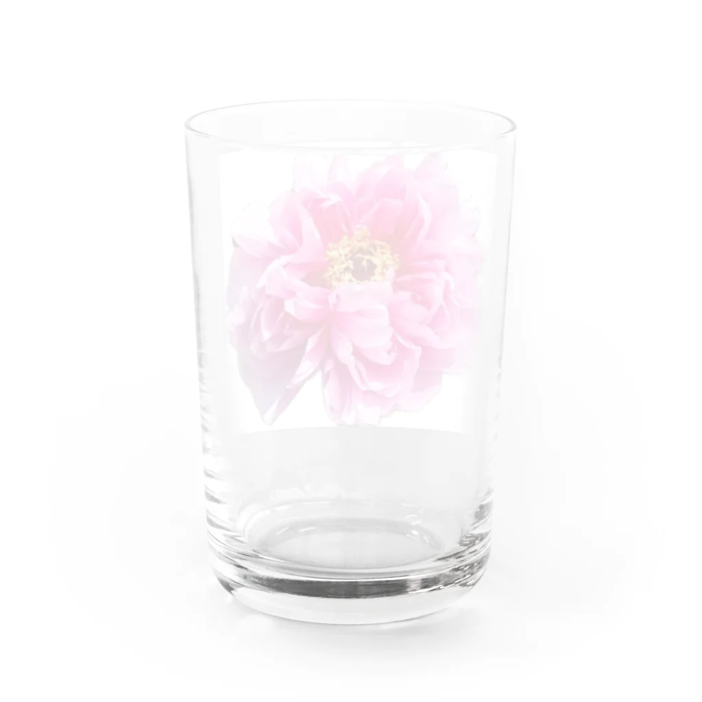 私の世界のseiso Water Glass :back