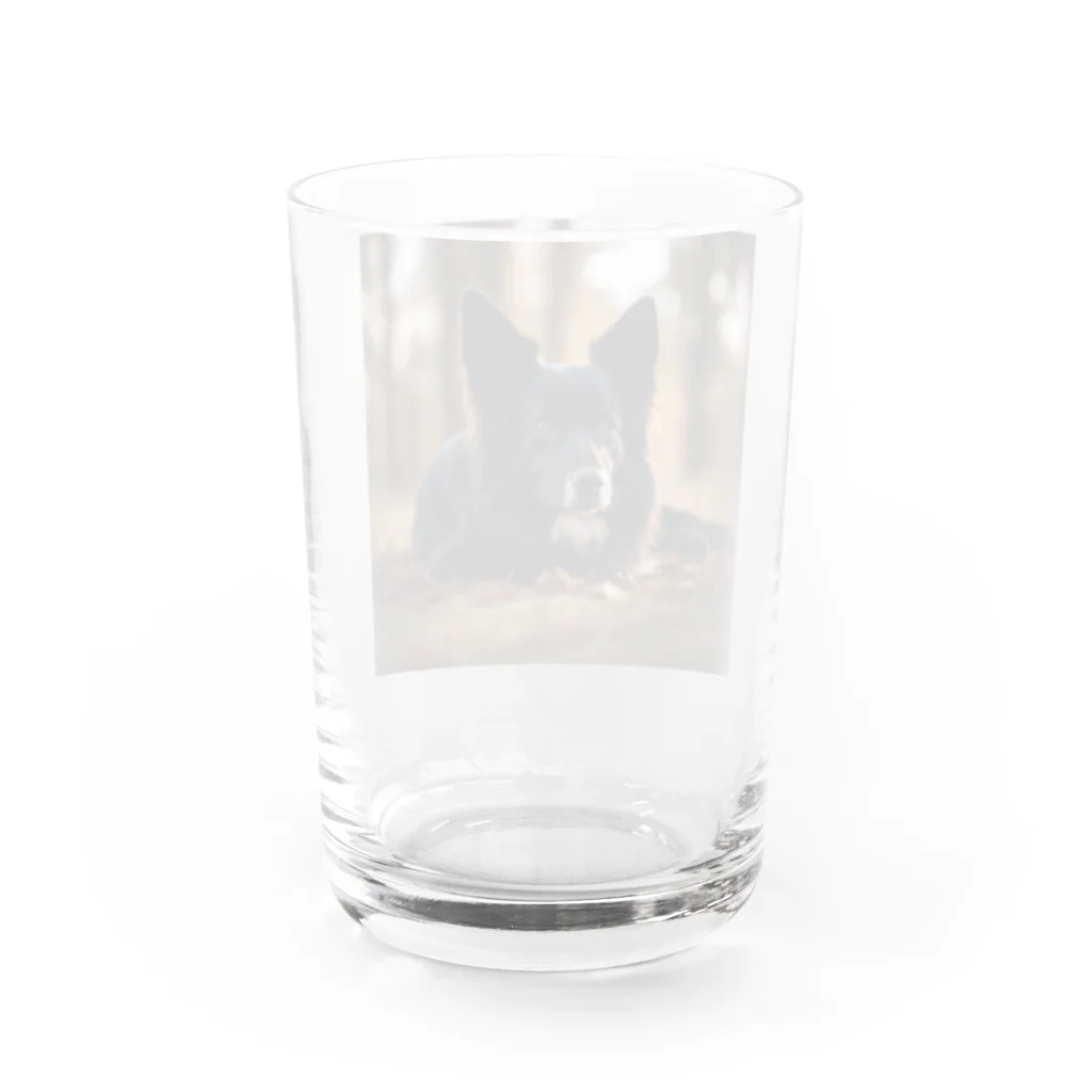 犬太郎の第一弾　『シャドウ』 Water Glass :back