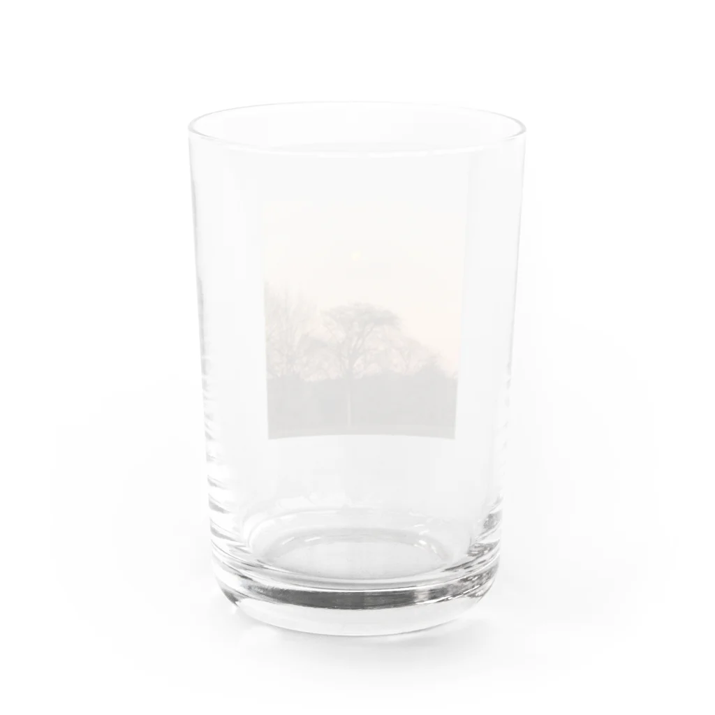 Cororineの冬の夜のはじまり Water Glass :back