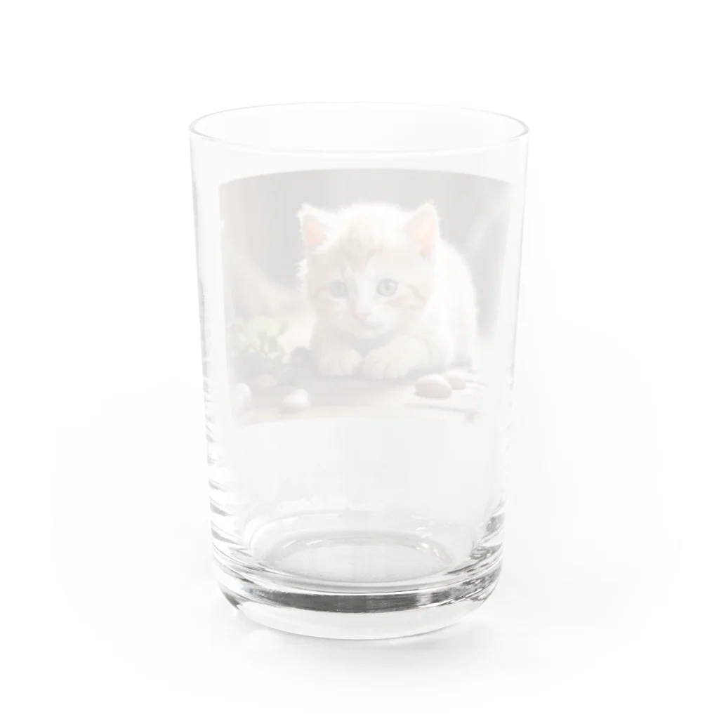 syuko5の癒しの猫ちゃん Water Glass :back