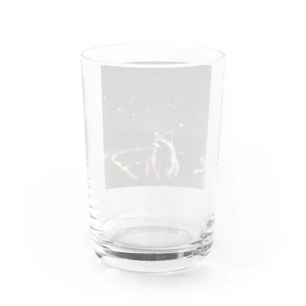 araiguma_shopの星を眺めているアライグマ Water Glass :back