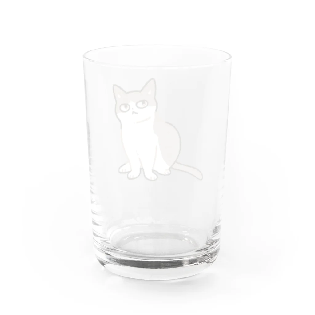 猫屋カエデのハチワレ Water Glass :back