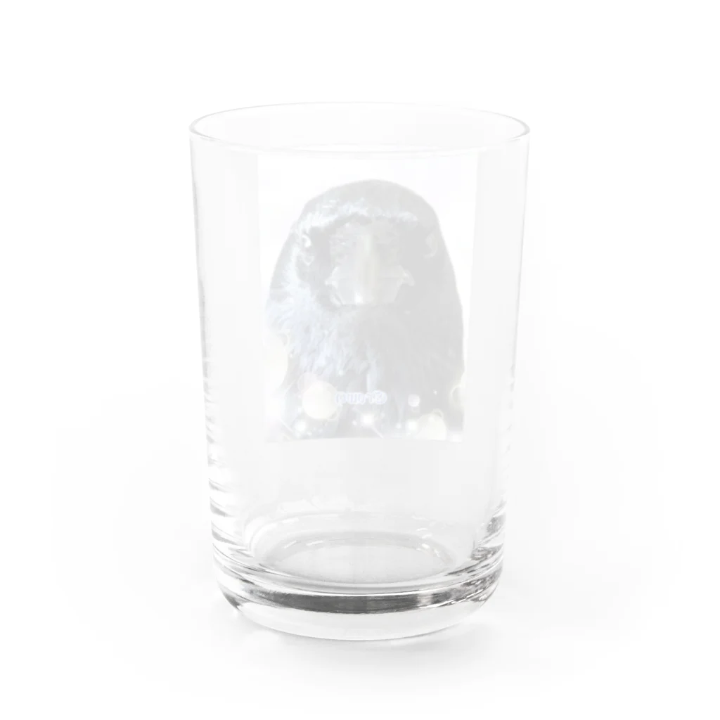 カラスのクッピのカラスのラビ Water Glass :back