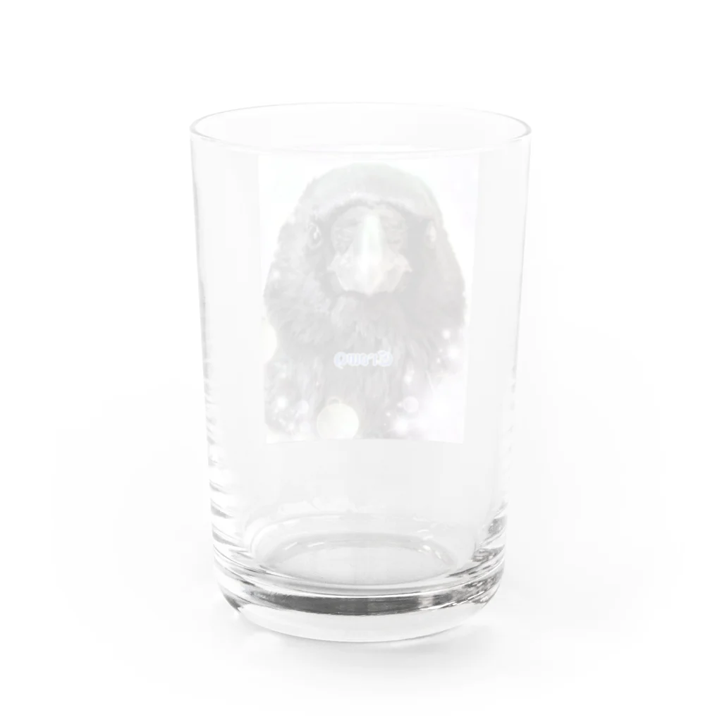 カラスのクッピのカラスのラビ Water Glass :back