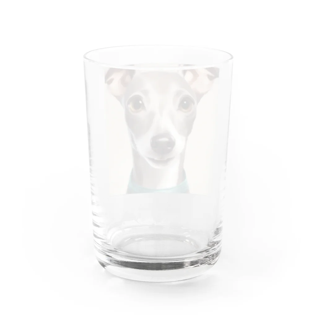 hono想(そう)イタグレ日記の笑顔のイタリアングレーハウンド Water Glass :back