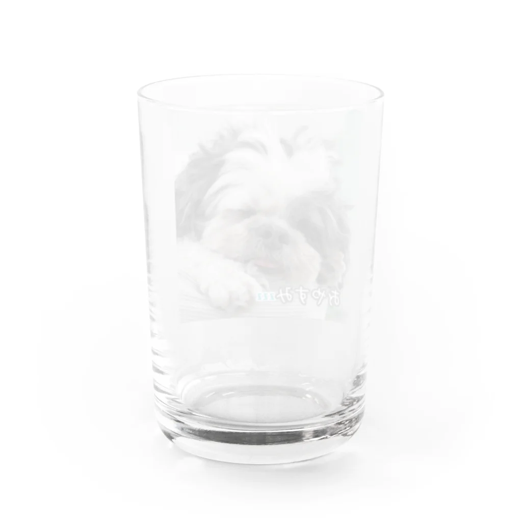 miyata20のいねむりワンちゃん Water Glass :back