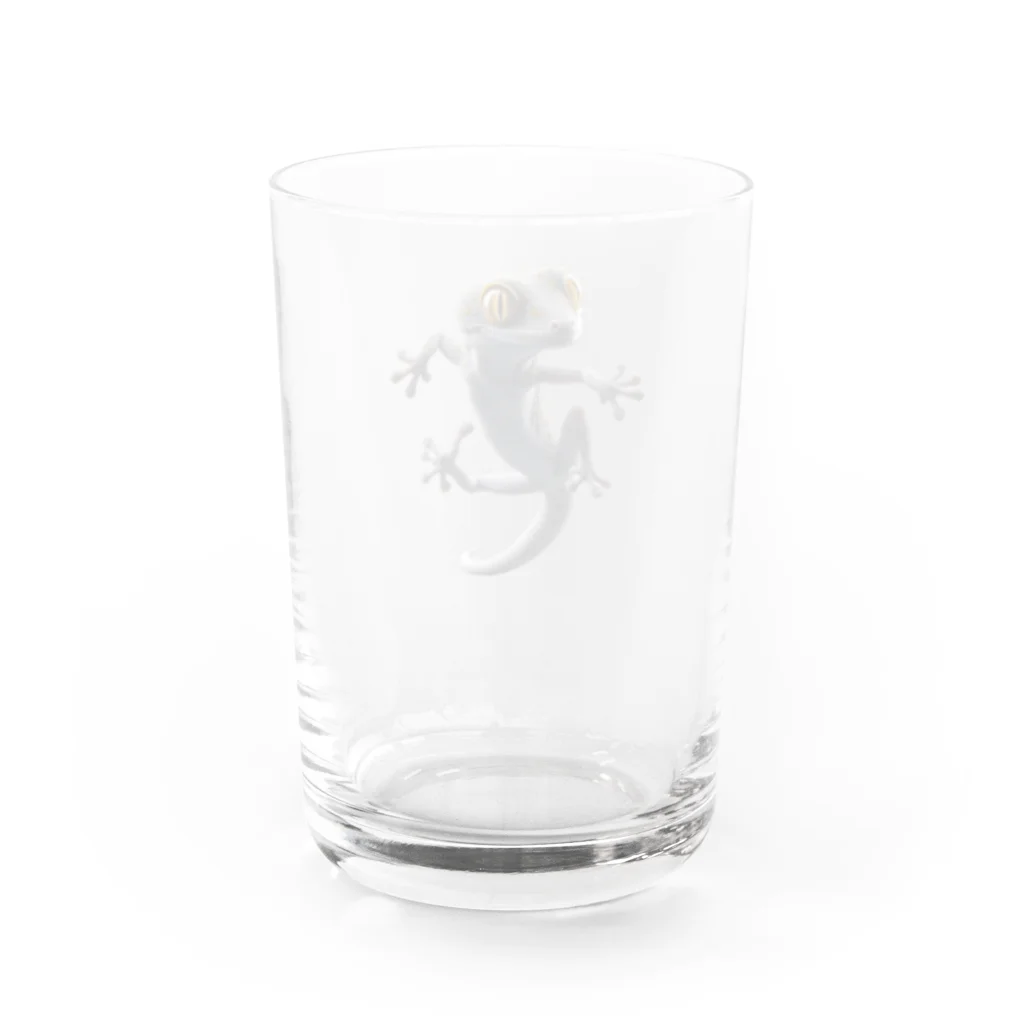 WildWondersのTane Water Glass :back