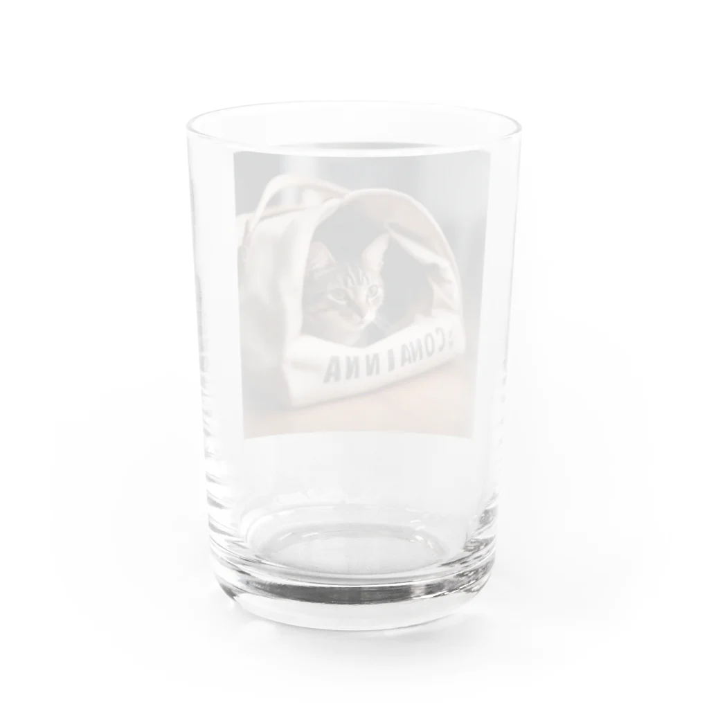 LuckyRiverShineの袋に入っている猫 Water Glass :back