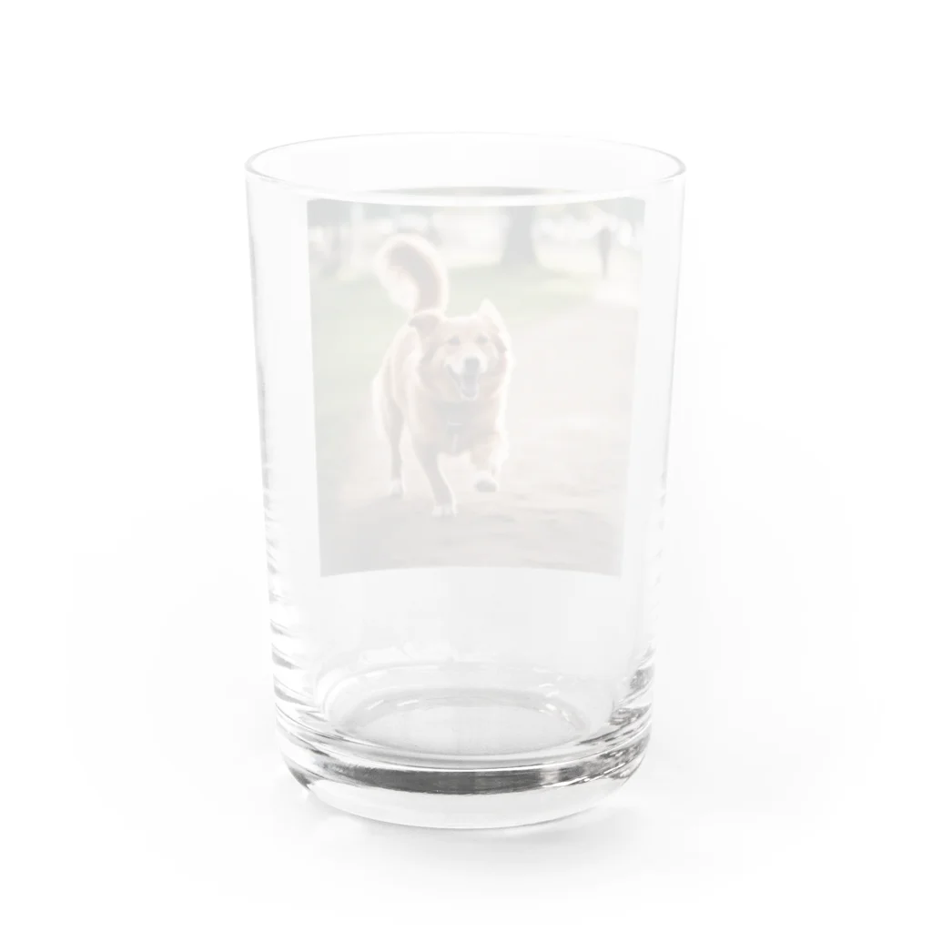 haru_0324の幸せそうな顔をしているわんこ Water Glass :back