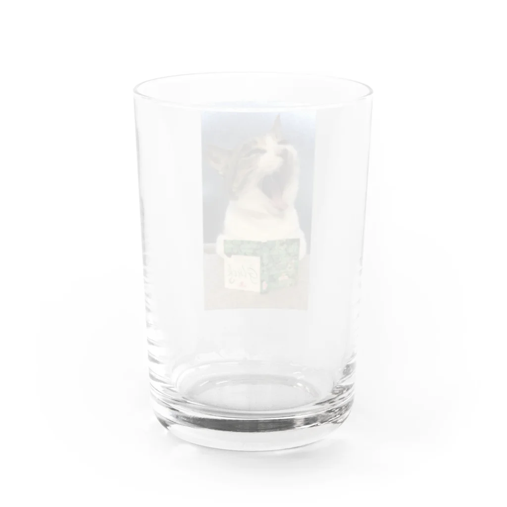 SHABBAT MOON のSHABBAT CAT Water Glass :back