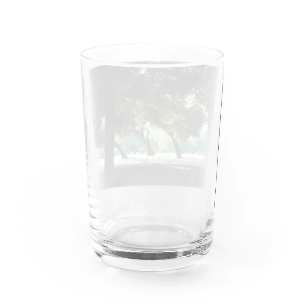 STELLAREOのおとぎの公園の木 Water Glass :back