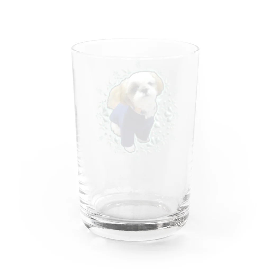 ティクタクとSORAの物語の僕はシーズーのSORA Water Glass :back