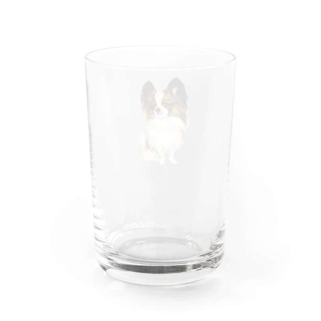 paw-pawのパピヨンちゃん Water Glass :back