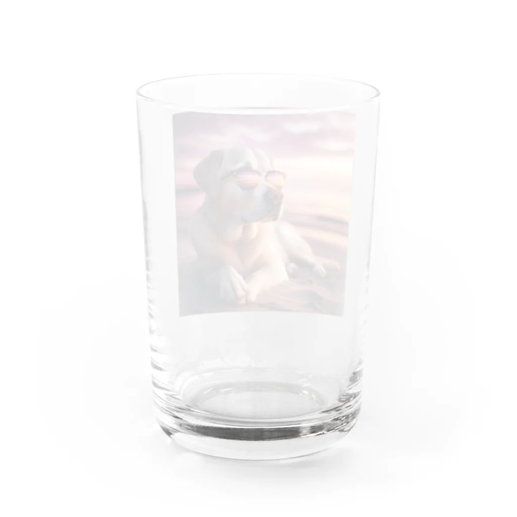 AQUAMETAVERSEのサングラスをかけた、かわいい犬 Marsa 106 Water Glass :back