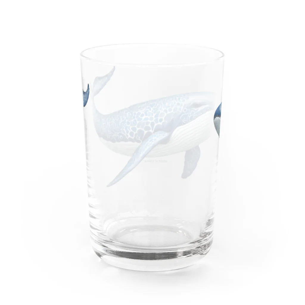 まみおデザインのwhale of a time　素晴らしい時 Water Glass :back