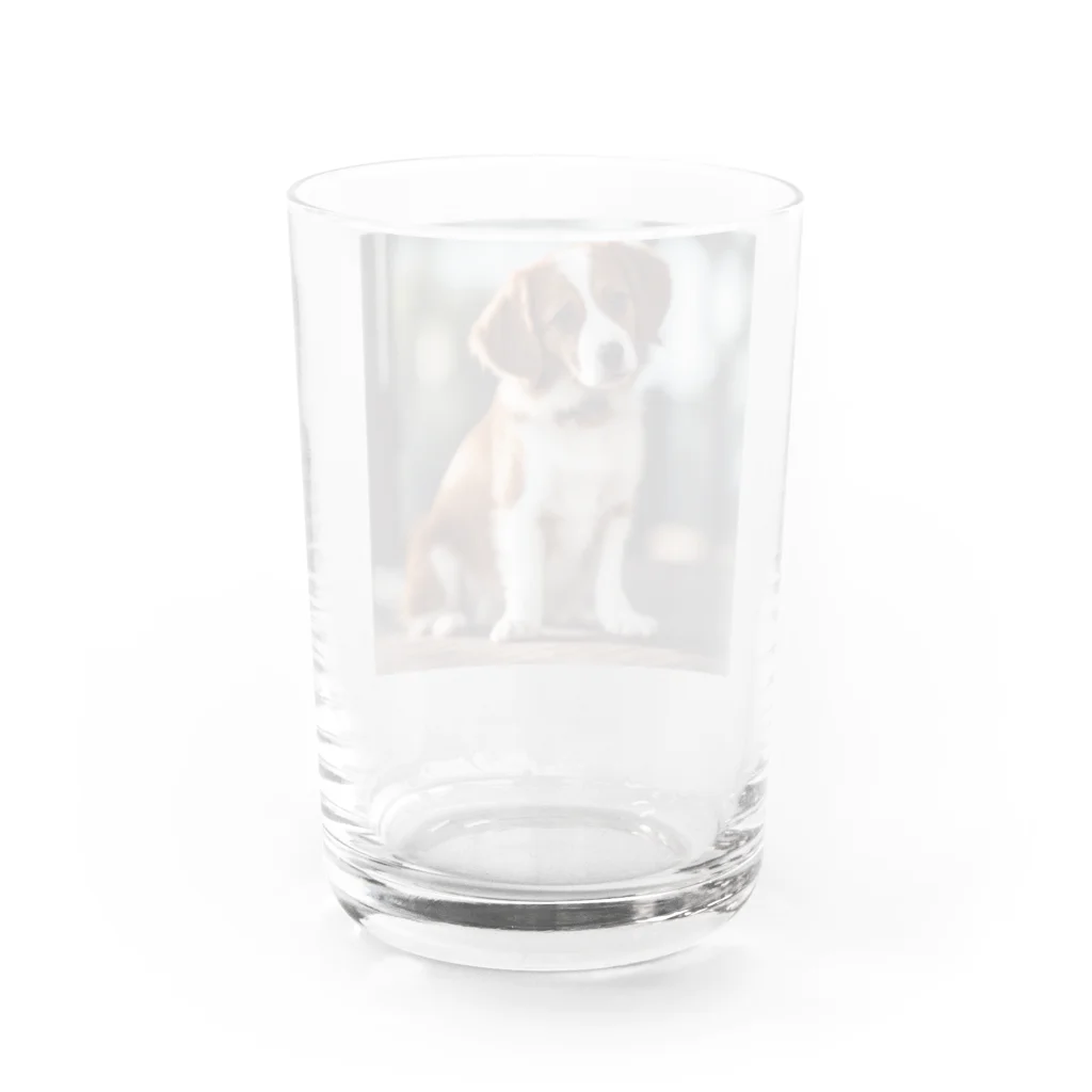 sadajapanの家族の帰りを待つコーイケルホンディエ Water Glass :back